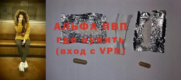 ПСИЛОЦИБИНОВЫЕ ГРИБЫ Вязники