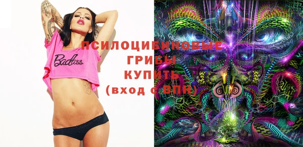 стаф Аркадак