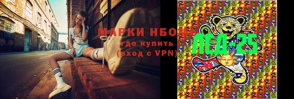 ГАЛЛЮЦИНОГЕННЫЕ ГРИБЫ Алзамай