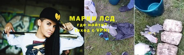 ГАЛЛЮЦИНОГЕННЫЕ ГРИБЫ Алзамай