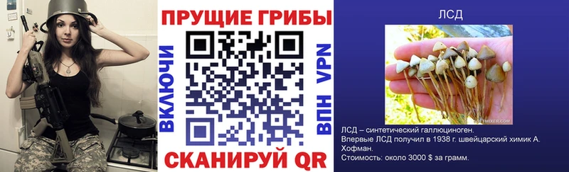 дарнет шоп Кировград Галлюциногенные грибы Magic Shrooms